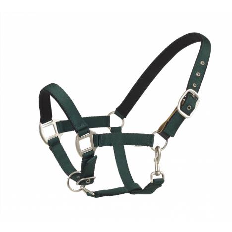 Centaur Cushion Web Breakaway Halter