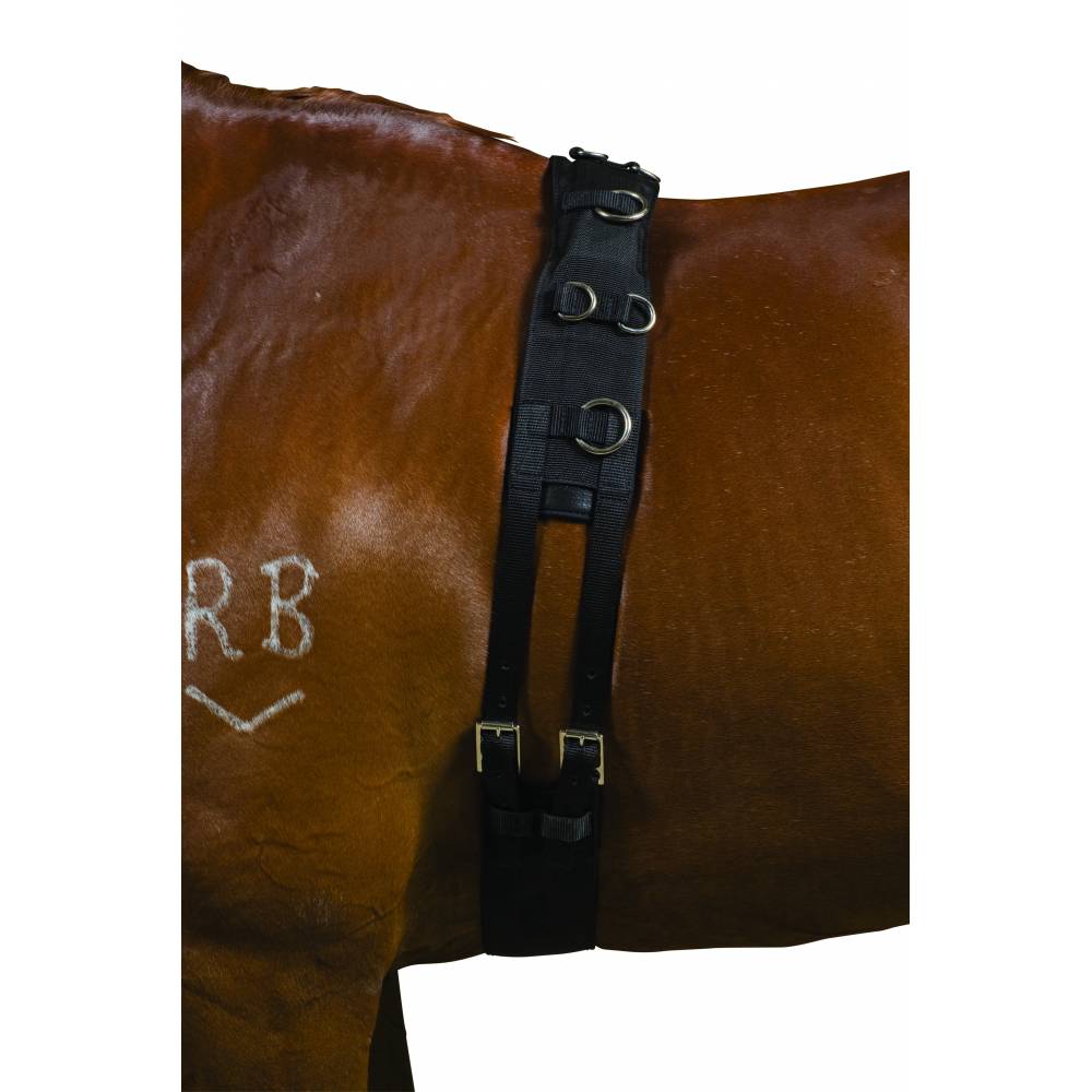Kincade Deluxe Equigrip Lunge Surcingle EquestrianCollections