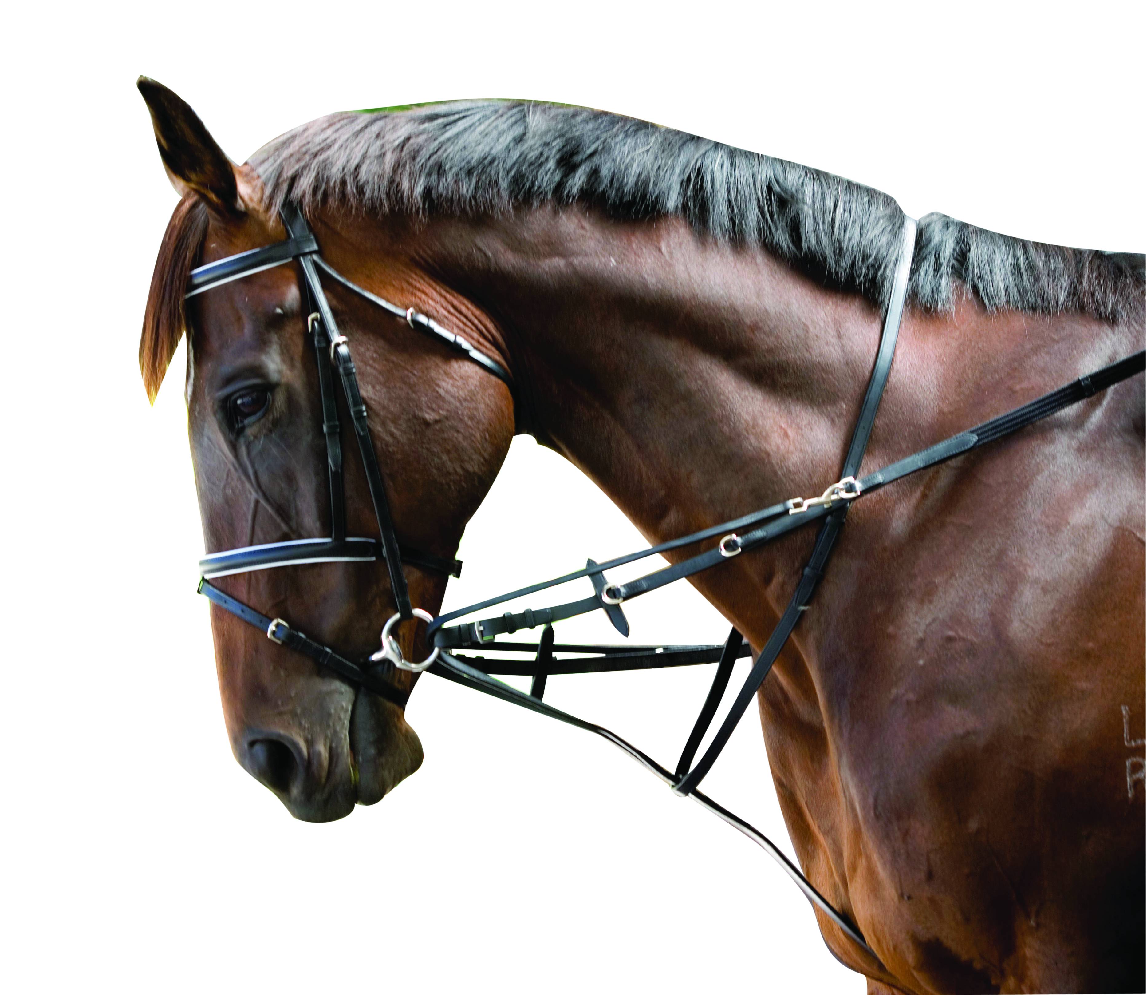 Shires Avignon German Martingale