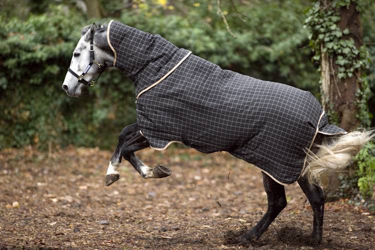 Rhino Plus Turnout Blanket - Heavyweight (400g)