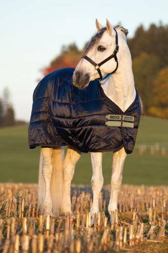 5-658071 Amigo Mio Stable Blanket - Pony, Medium Weight sku 5-658071