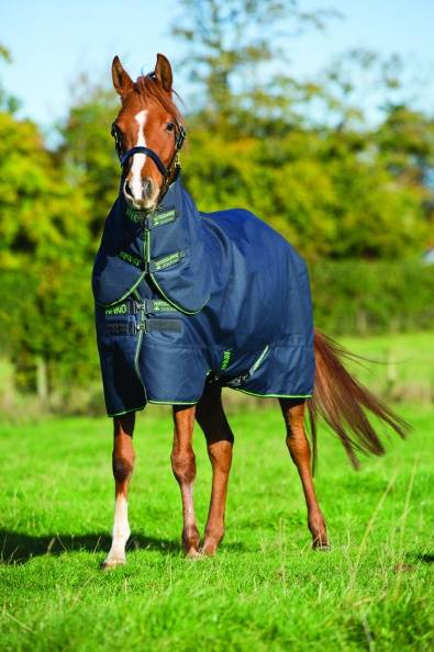 Amigo Pony Bravo 12 Plus Turnout Blanket - Medium Weight