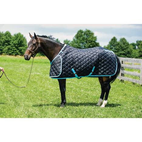 Heavy Weight Horse Blankets