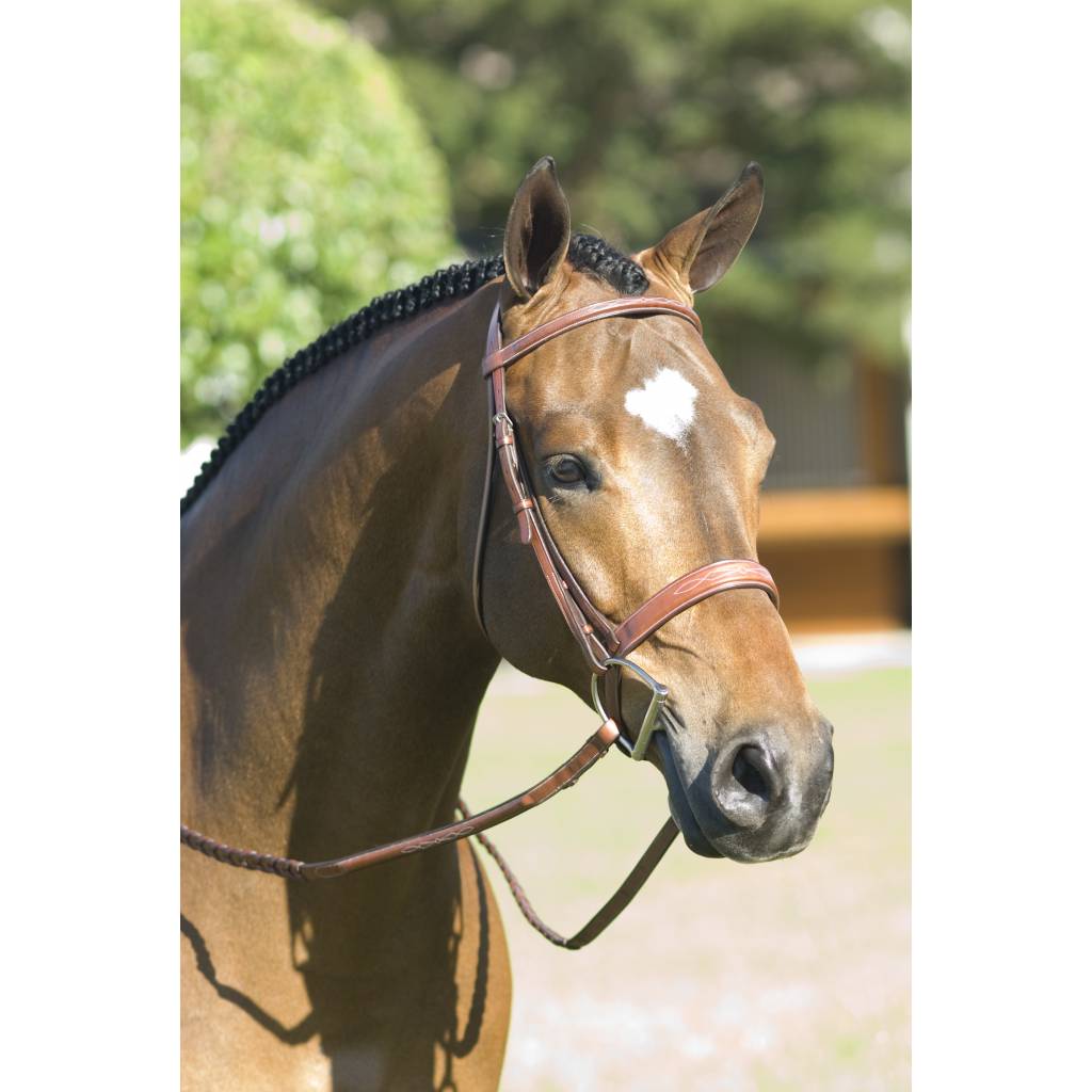 Rodrigo Fancy Wide Noseband Show Bridle