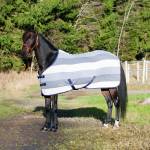 Finn Tack Horse Sheets