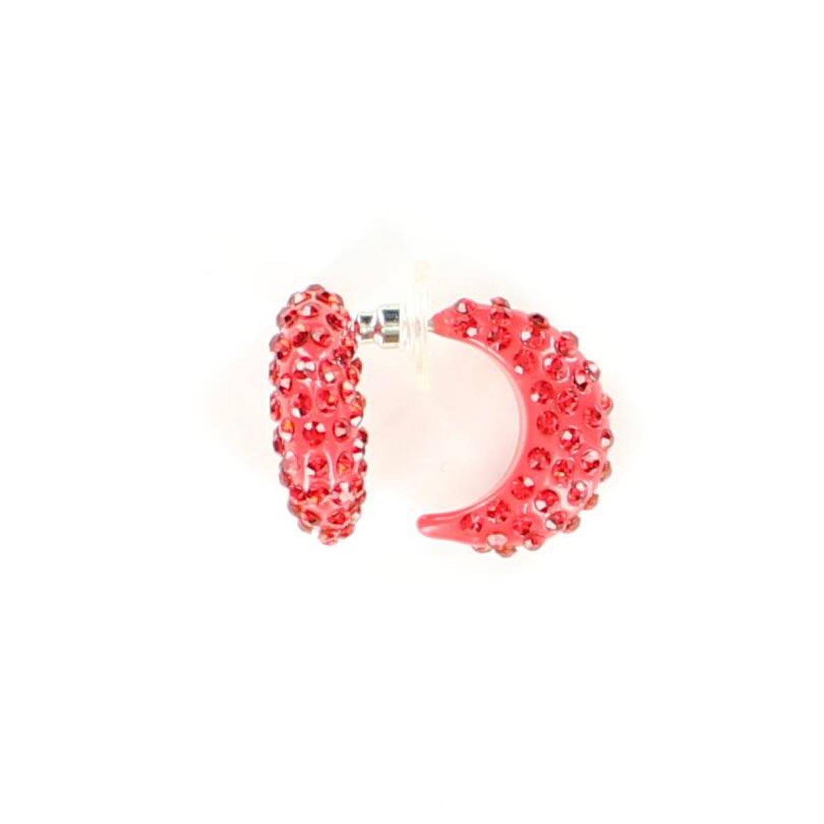 Blazin Roxx Crystal Hoop Earrings