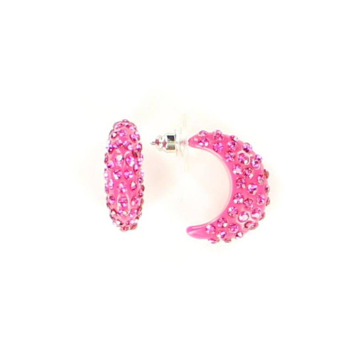 Blazin Roxx Crystal Hoop Earrings