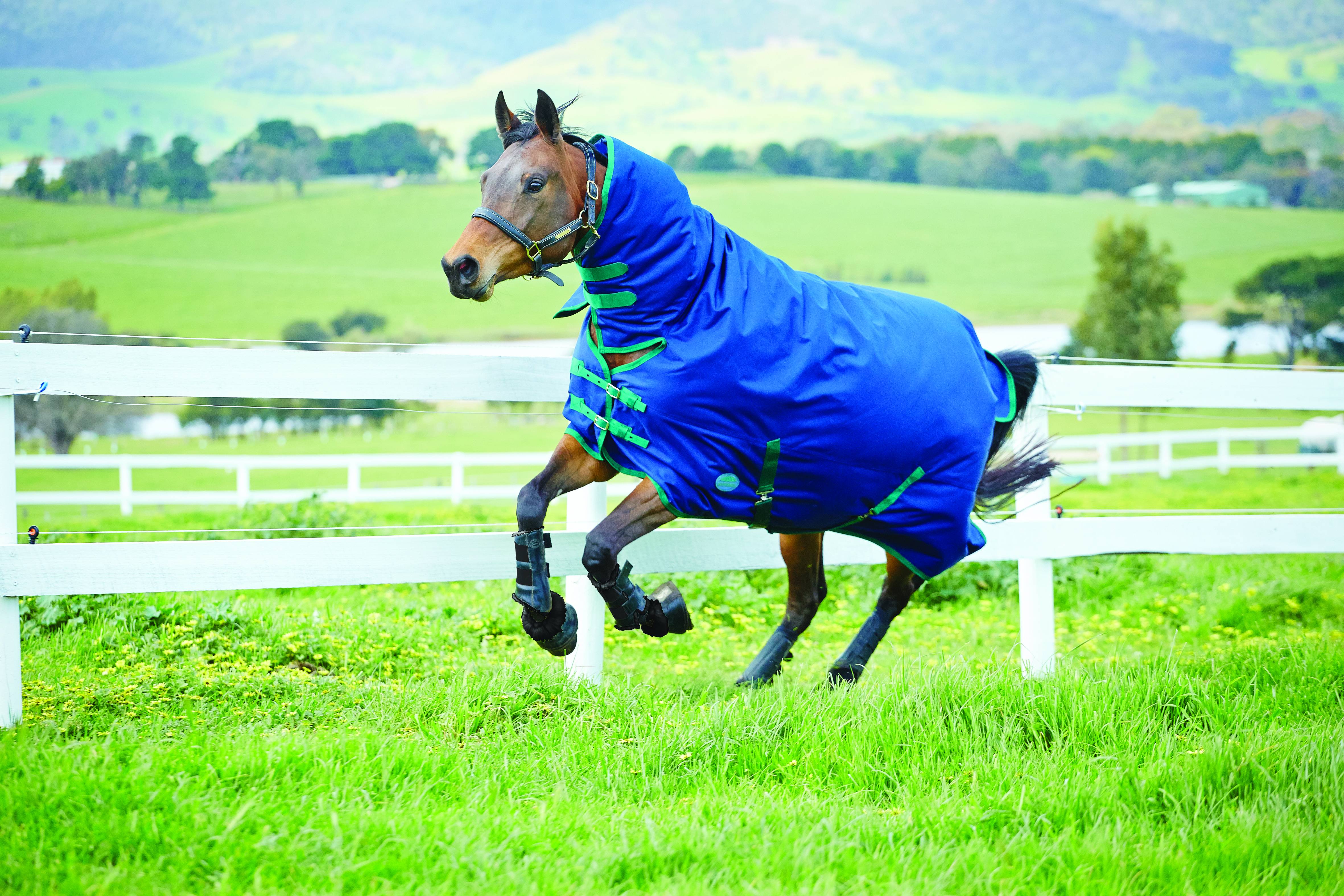 Weatherbeeta Genero 1200D Combo Neck Turnout - Medium Weight