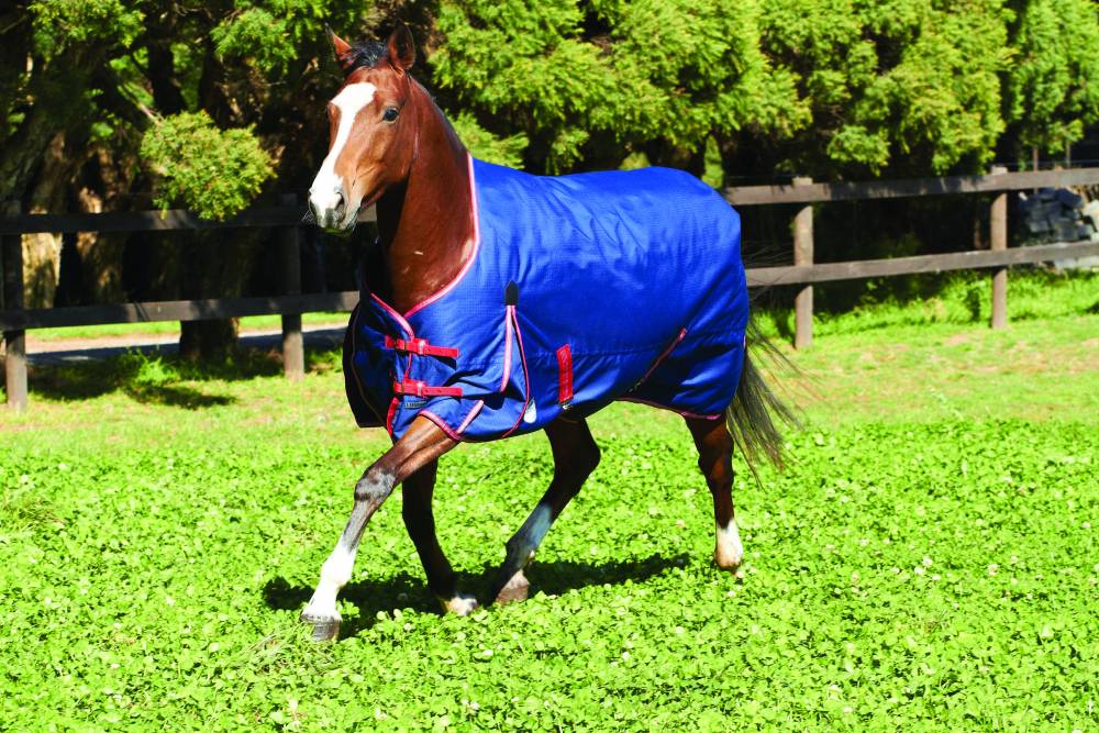 Weatherbeeta Original Standard Neck Wide EquestrianCollections