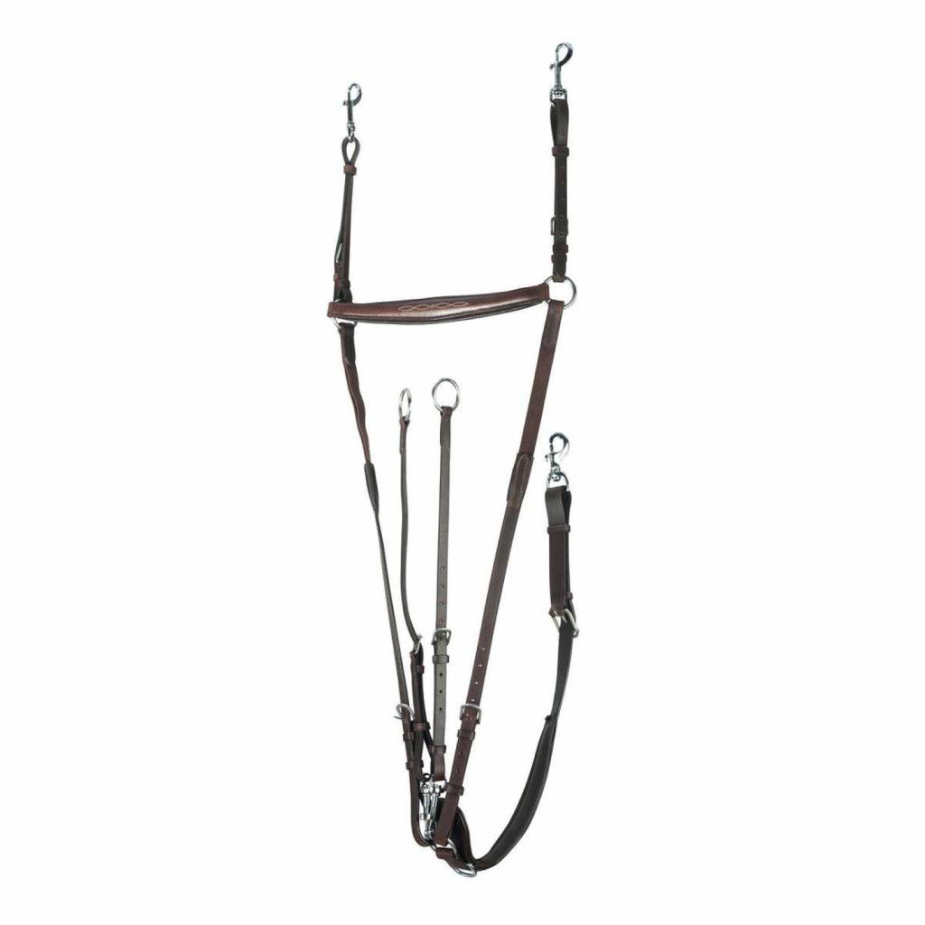 Horze Venice Combined Martingale