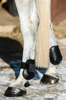 Nunn Finer Hampa Tendon Boot