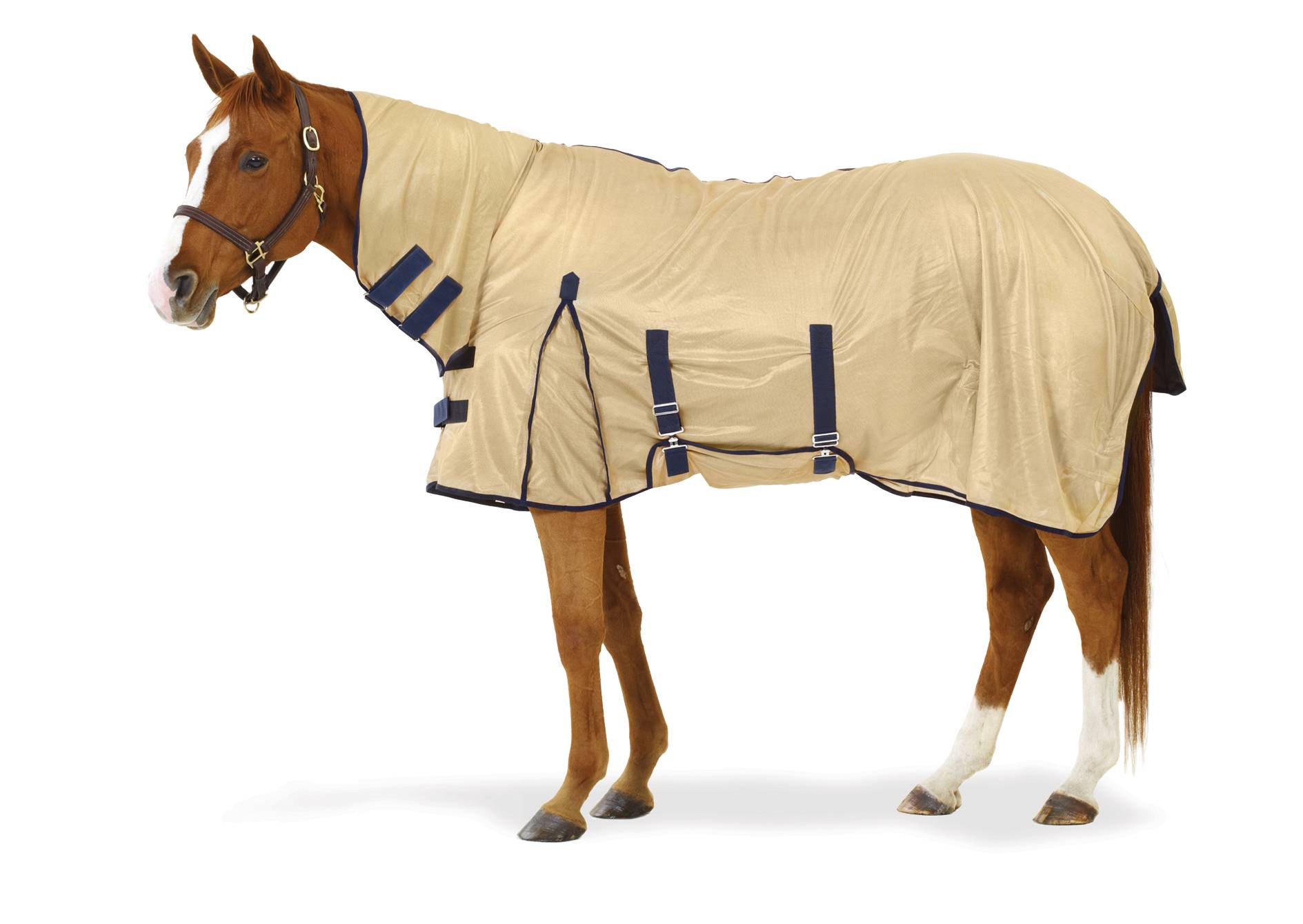 Equi-Essentials Softmesh Combo Fly Sheet with Belly Band