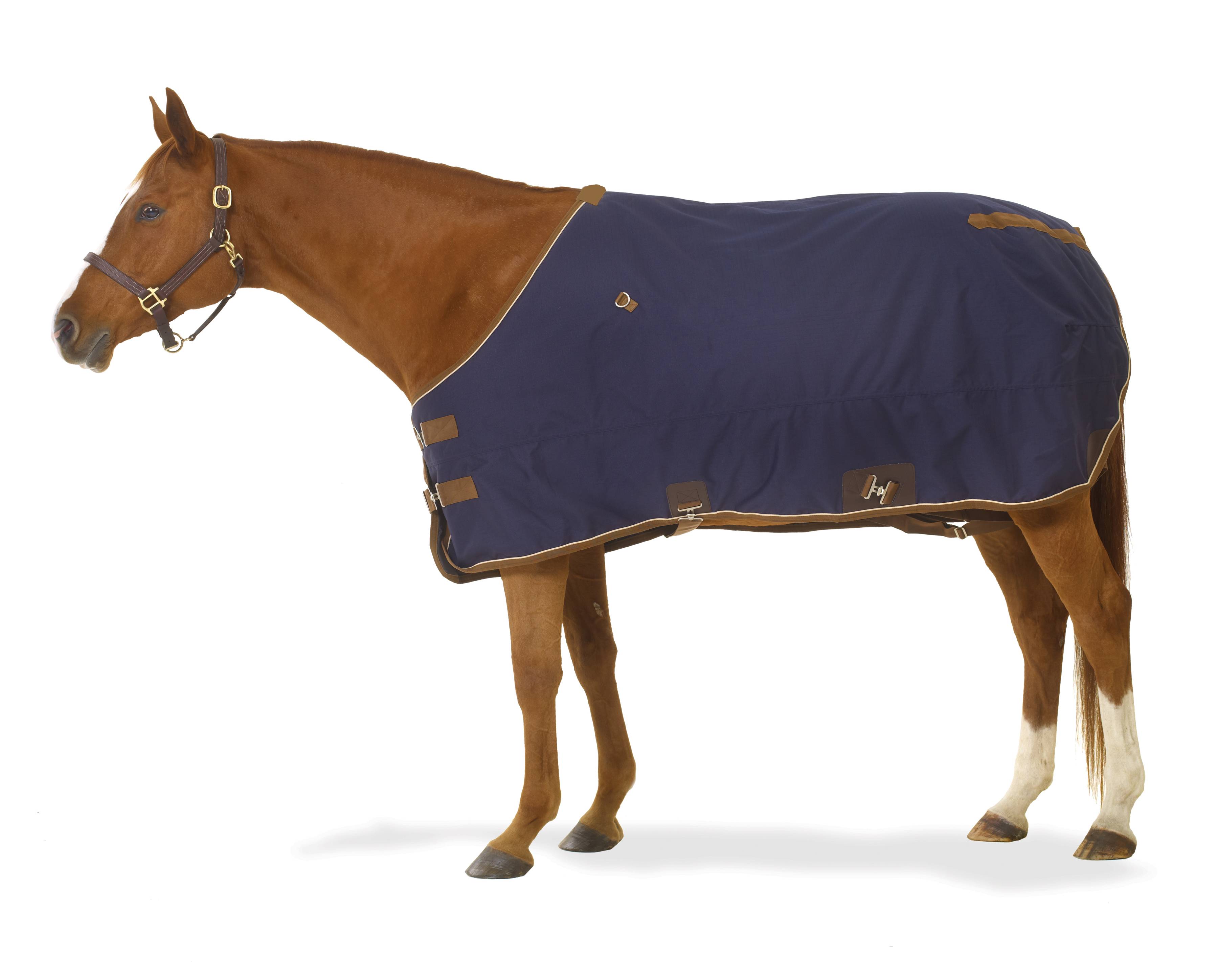 Turn-Two Equine 1200D Turnout Blanket 200g