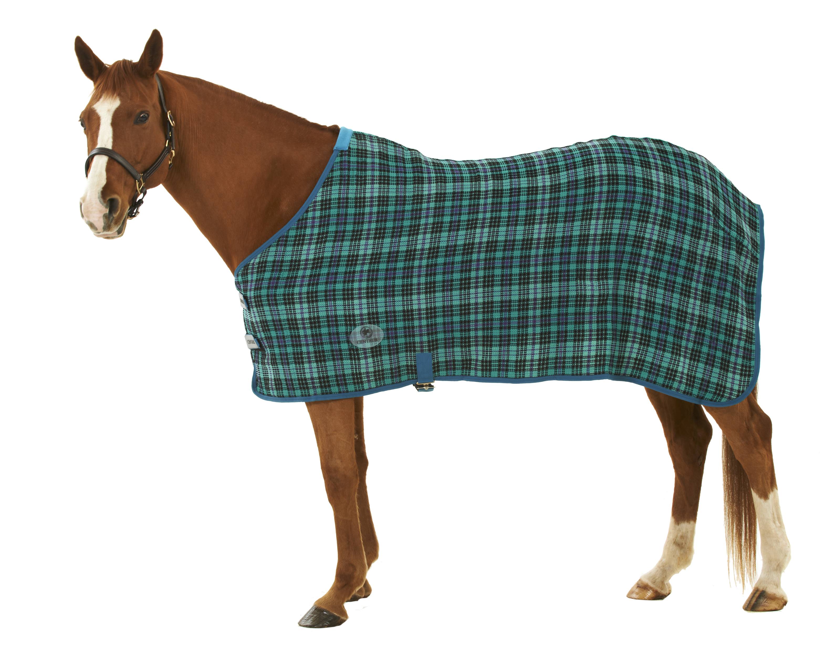 Centaur Wickster Anti-Sweat Sheet - Plaid