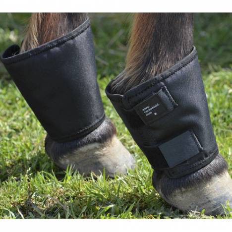 Fetlock Shields