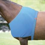 Shires Horse Blanket Liners
