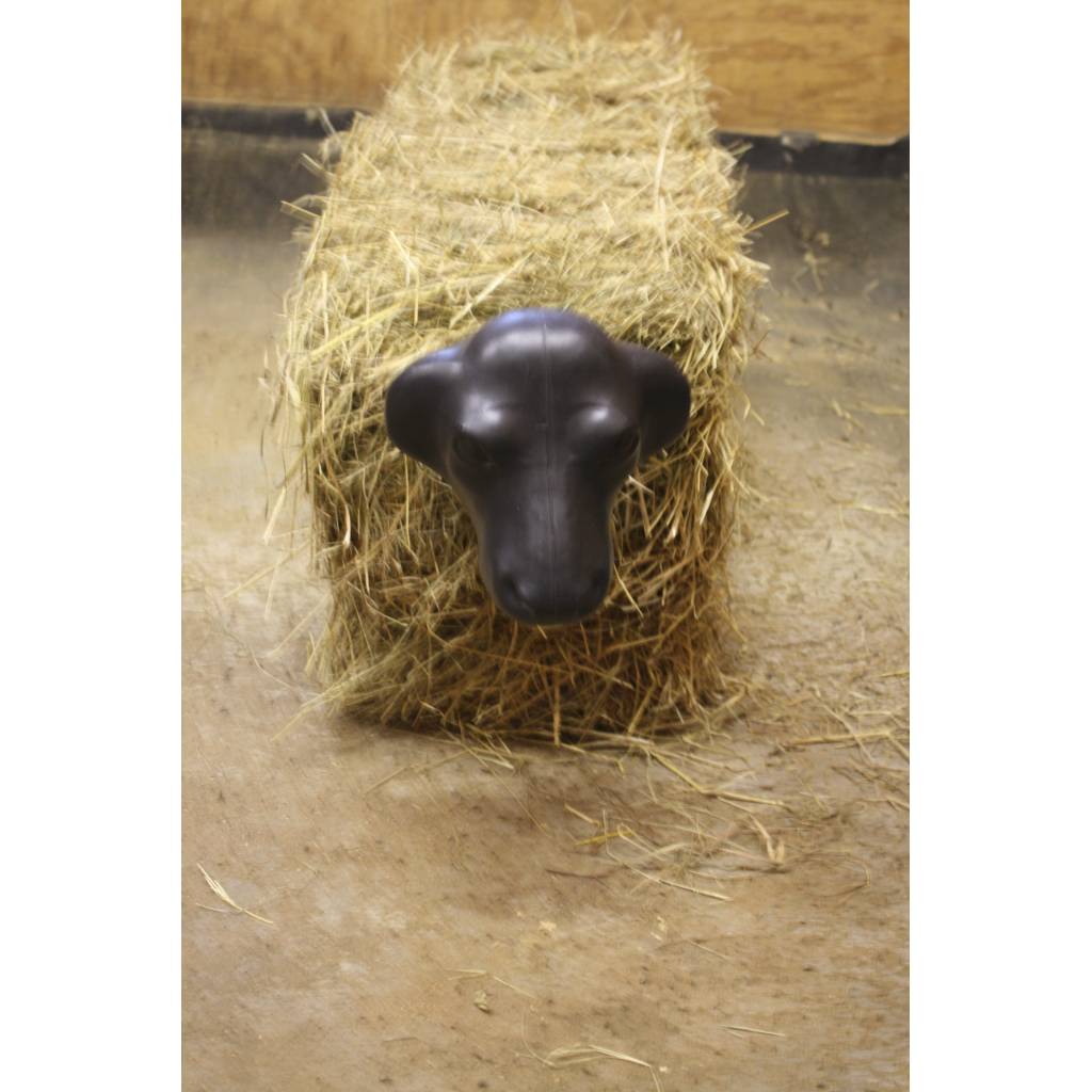 Calf Head with Hay Bale Spikes