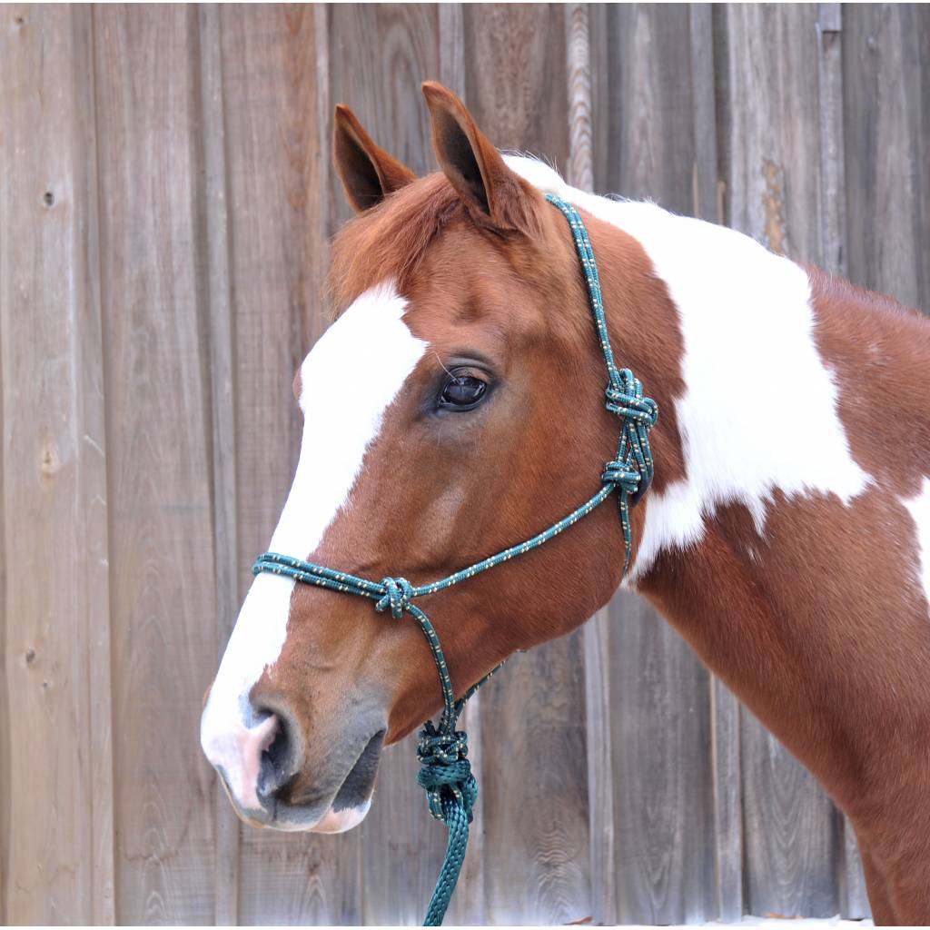 Horse Mountain Rope Halter