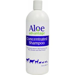 Aloe Advantage Concentrated Shampoo 10X