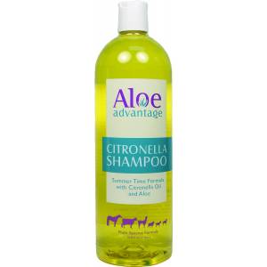 Aloe Advantage Citronella Shampoo Concentrate