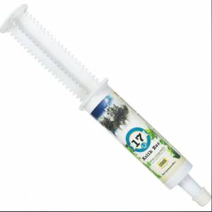 Silver Lining Herbs 17 Kolik Eaz Paste