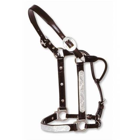 Circle Y Engraved Silver Show Halter