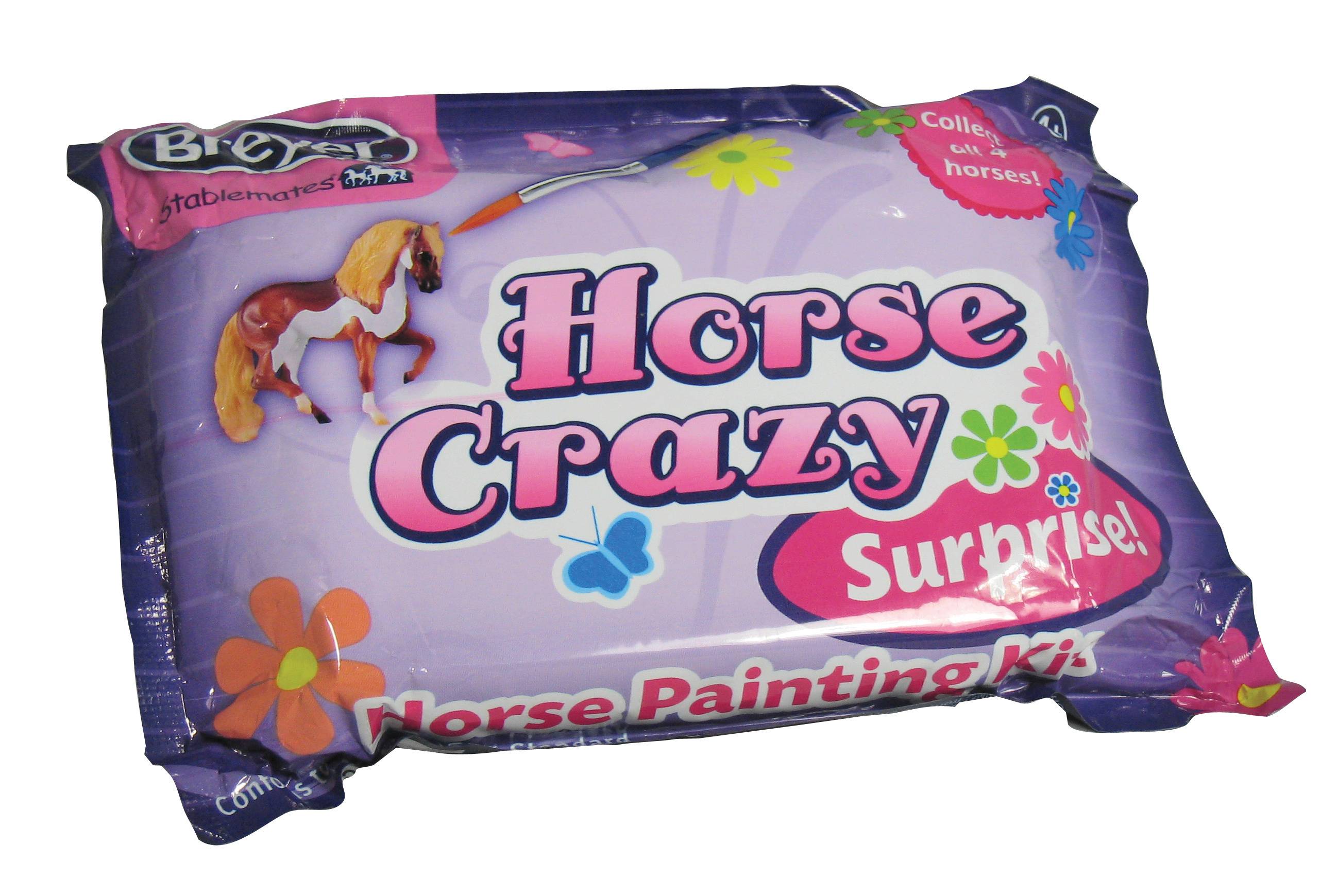 Breyer My Dream Horse Horse Crazy Surprise Painting Kit