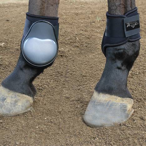 Professionals Choice Pro Performance Fetlock Boots