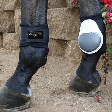 Professionals Choice Pro Performance Fetlock Boots