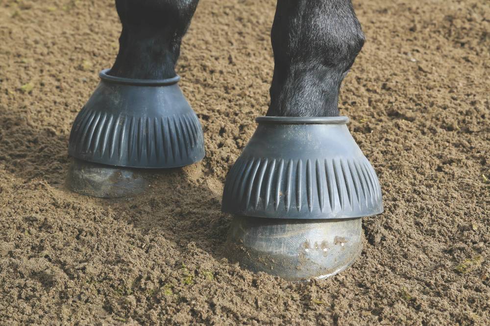 Professionals Choice High Neck Bell Boot EquestrianCollections