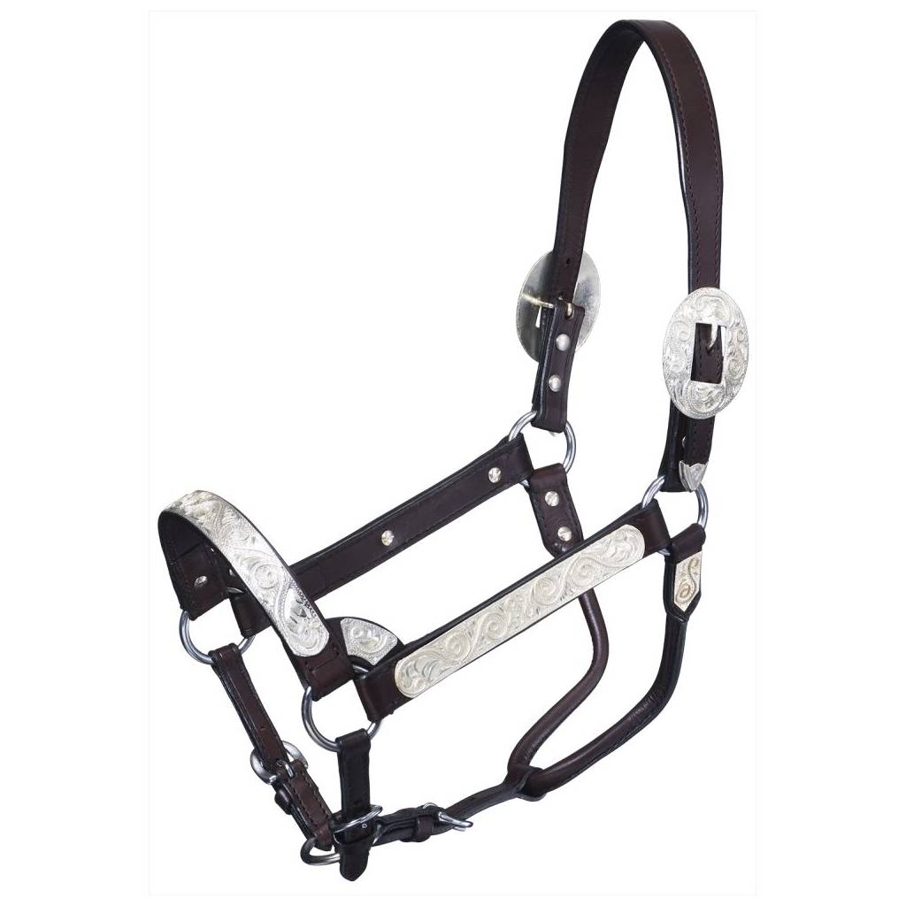 Tough-1 Premium Bright Cut Edge Silver with Silver Scroll Show Halter