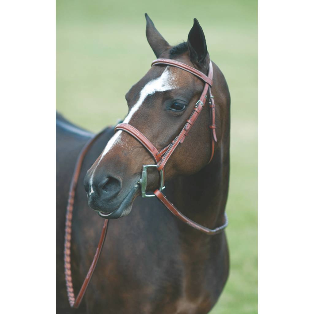 Rodrigo Fancy Stitched Wide Noseband Bridle