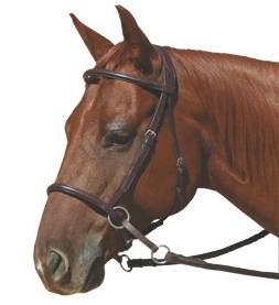 Nurtural Bitless Harmonie Bridle