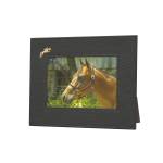 Perri's Picture Frames