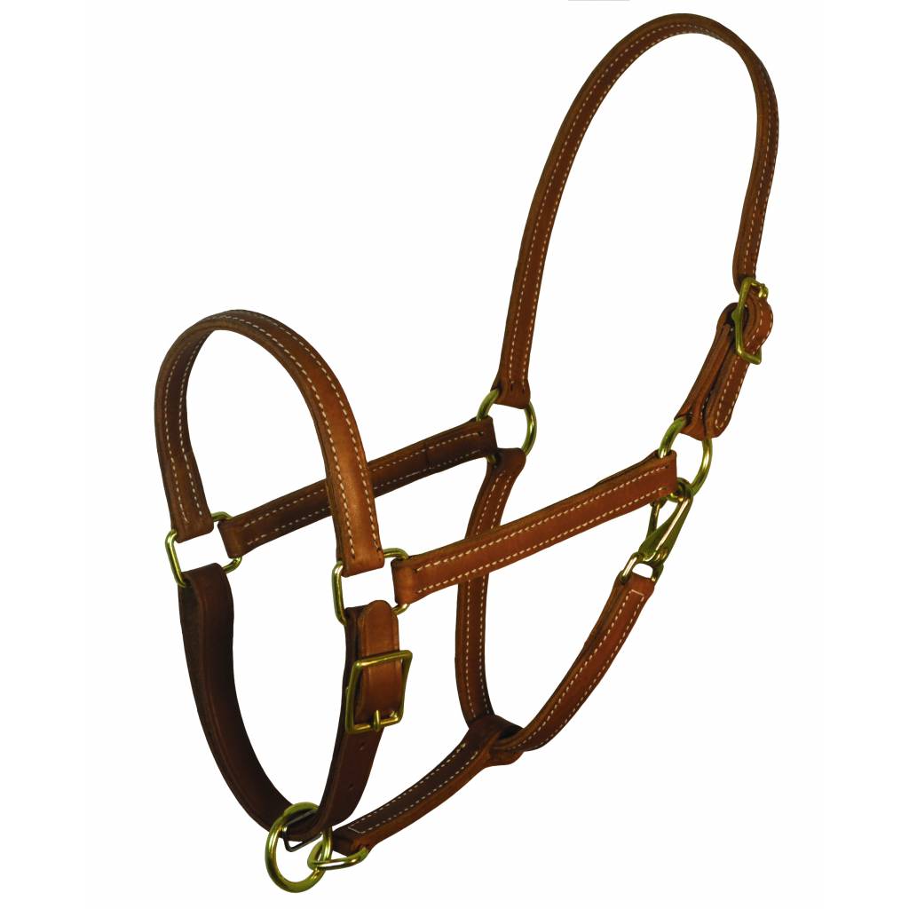 Perri's 7/8" Value Leather Work Halter