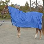 Saratoga Horseworks Horse Sheets