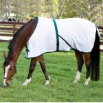 Saratoga Horseworks Turnout Blankets