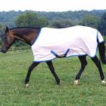 Saratoga Horseworks Horse Blankets, Sheets & Coolers