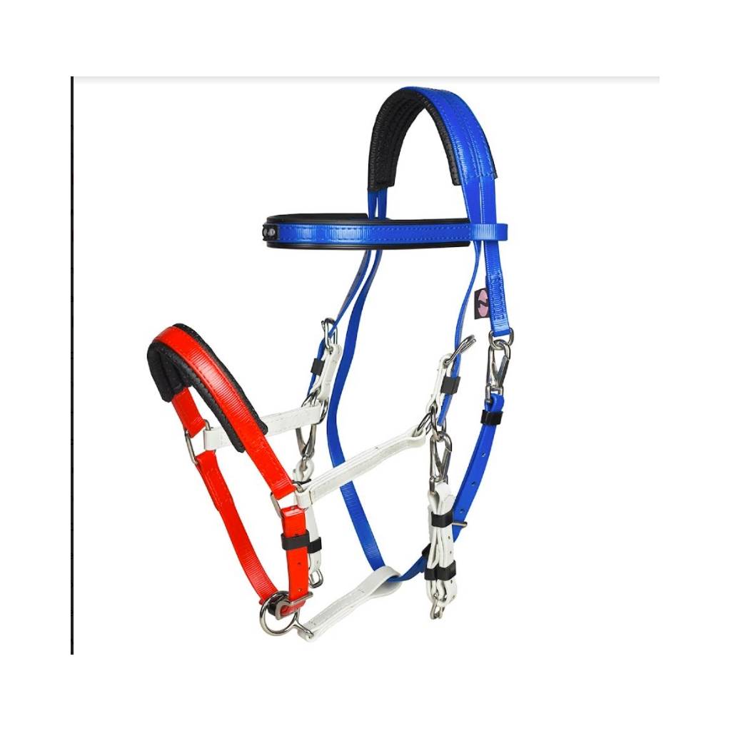 Toklat Zilco Marathon Endurance Bridle