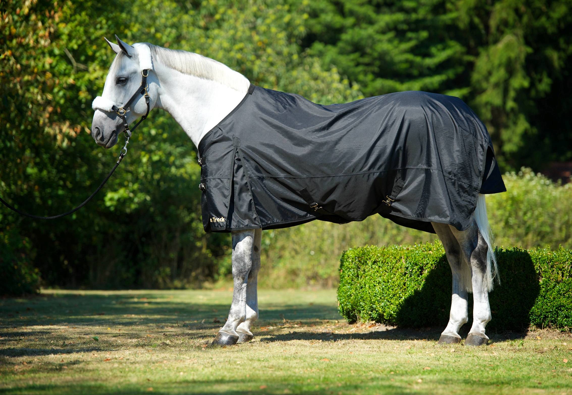 21420045 Back On Track Therapeutic Turnout Sheet sku 21420045