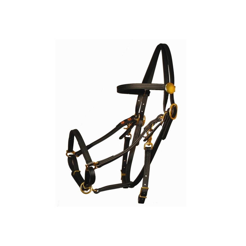 Tucker Beta BioThane Halter Bridle