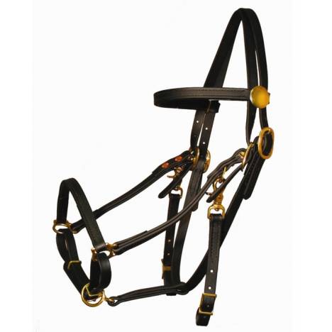 Tucker Beta BioThane Halter Bridle