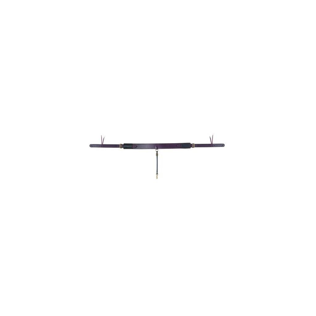 Tucker Rear Cinch Set