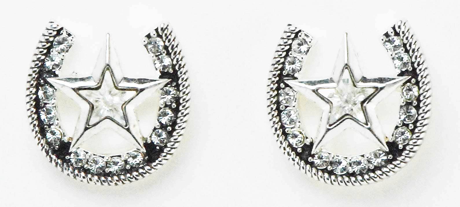 Western Edge Jewelry Star & Horseshoe Earrings