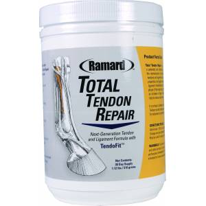 Total Tendon Repair