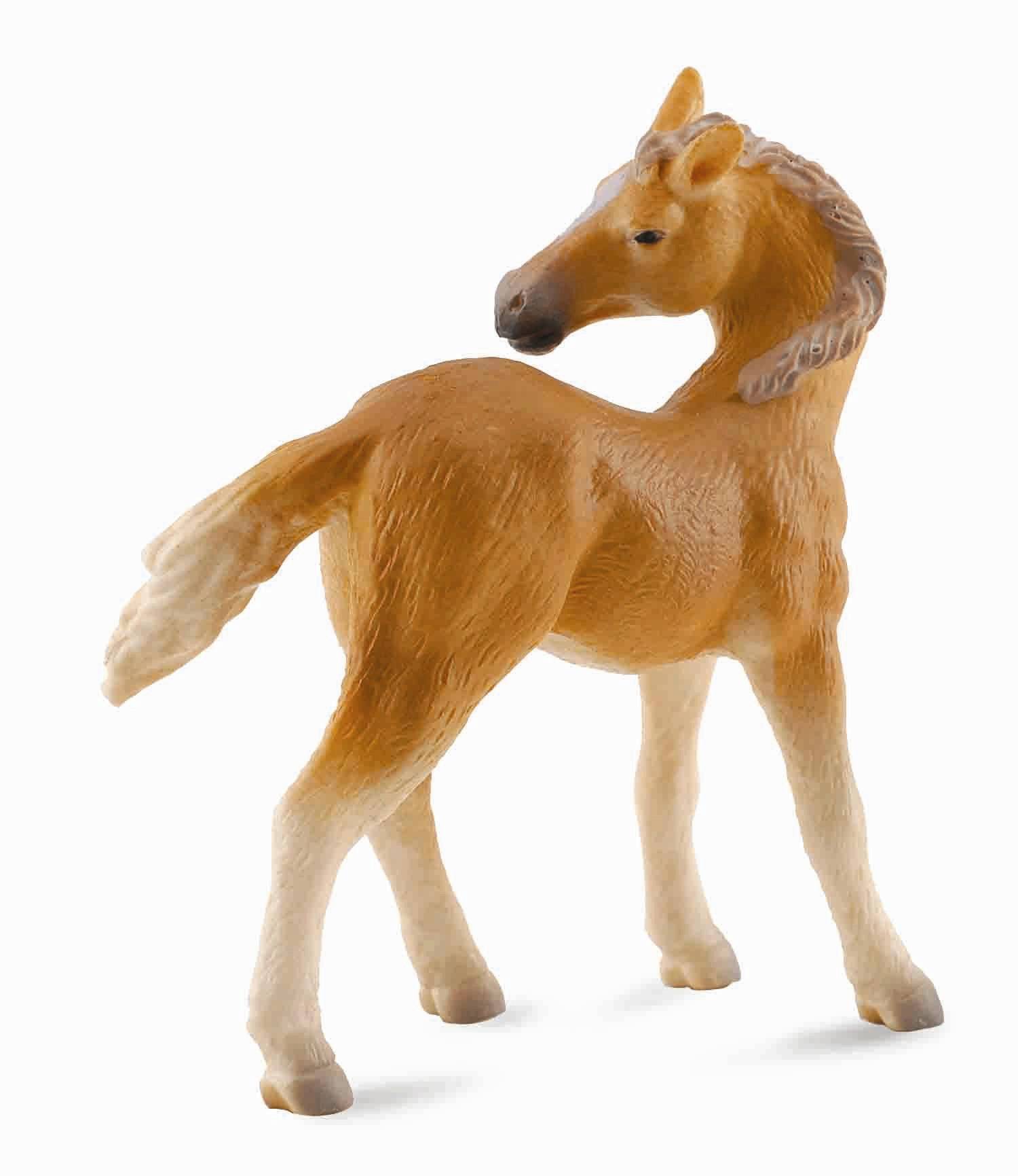 Breyer by CollectA Haflinger Foal (Looking Back)