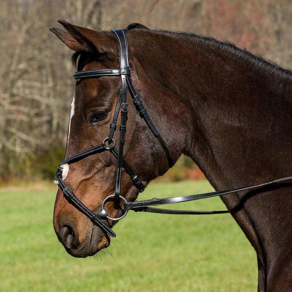 Henri De Rivel Pro Mono Crown Raised Figure 8 Bridle