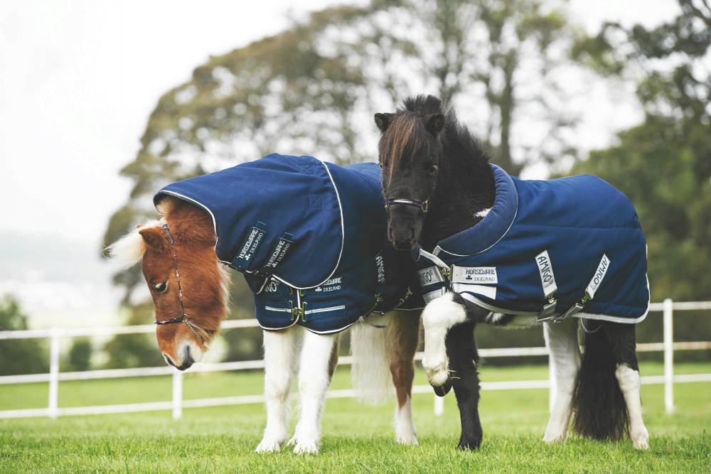 Amigo Petite Cozy Stable Blanket - Heavy | EquestrianCollections