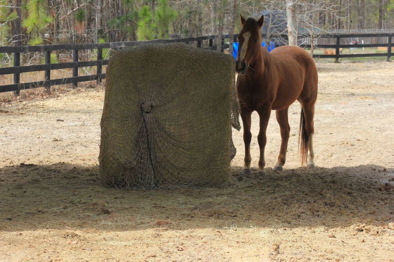 Freedom Feeder Round Bale Net