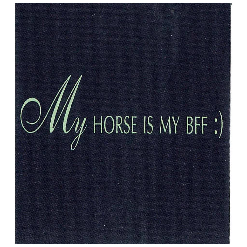 My Horse is my BFF Tee Shirt